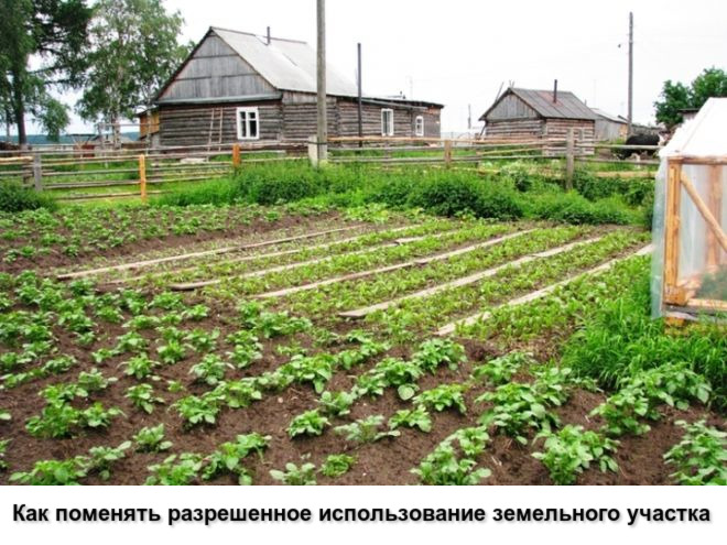 Как поменять разрешенное использование земельного участка Как поменять разрешенное использование земельного участка