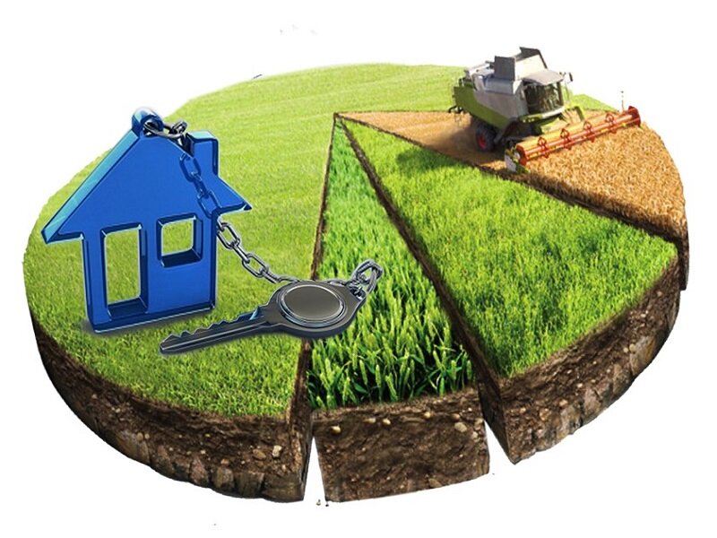 О возможности предоставления  в собственность земельного  участка